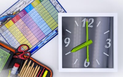 Raspored sati, vozni red i protokol organizacije rada