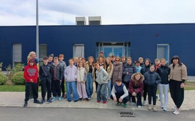 Šestaši u Odvodnji Rovinj