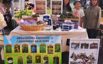 10. Festival zavičajnosti